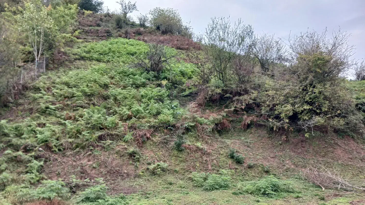 زمین ویلایی|فروش زمین و ملک کلنگی|لوندویل, |دیوار