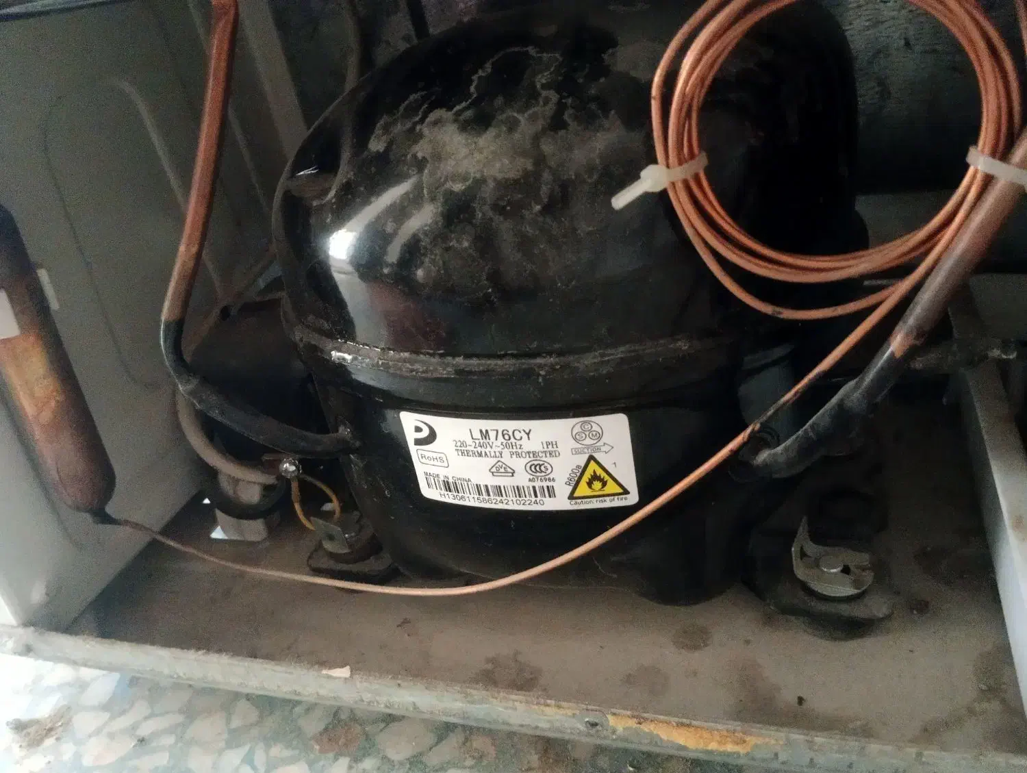 تعمیرات تخصصی یخچال فریزر خانگی و صنعتی|خدمات پیشه و مهارت|یزد, |دیوار