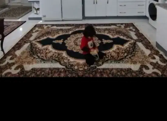 فرش شش متری|فرش|نورآباد, |دیوار