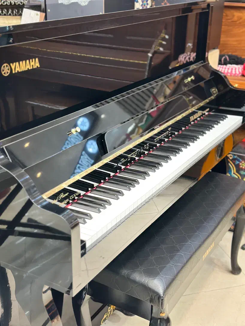 فروش انواع پیانو دیجیتال وآگوستیک|پیانو، کیبورد، آکاردئون|یزد, |دیوار