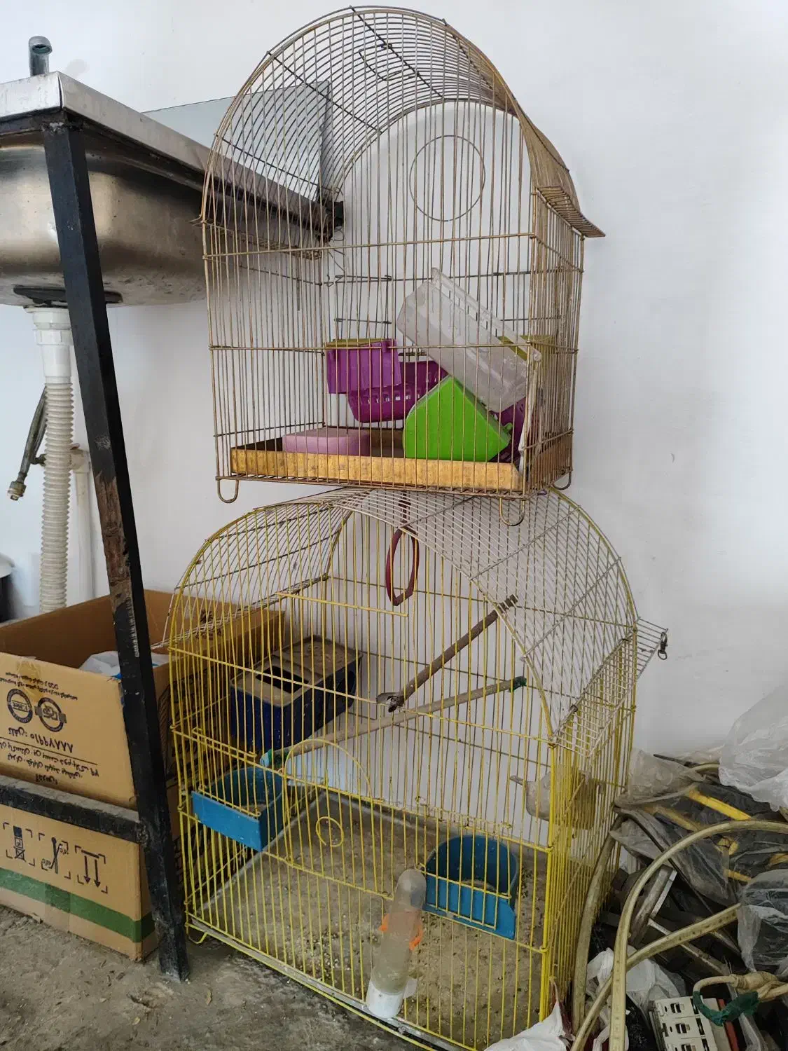 قفس پرنده|لوازم جانبی حیوانات|اندیشه, اندیشه فاز ۱|دیوار