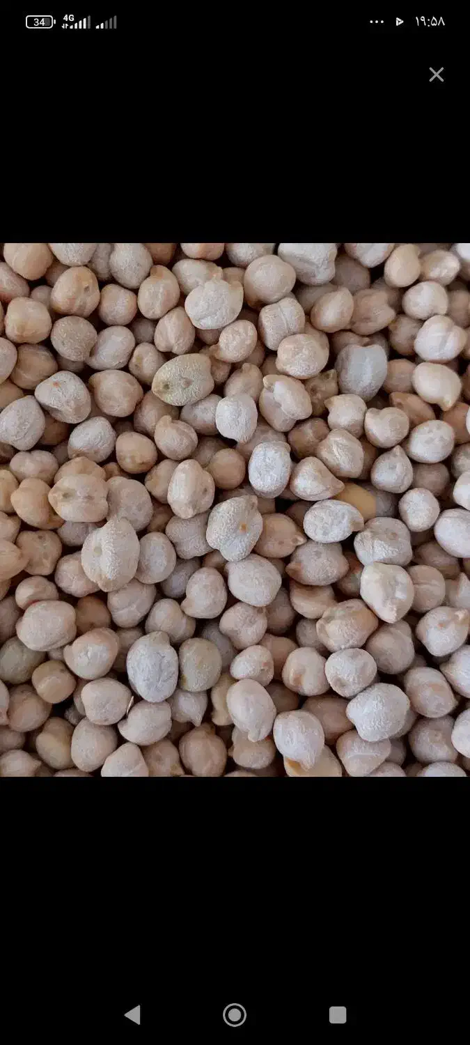 فروش نخود|خوردنی و آشامیدنی|سیلاخور, |دیوار