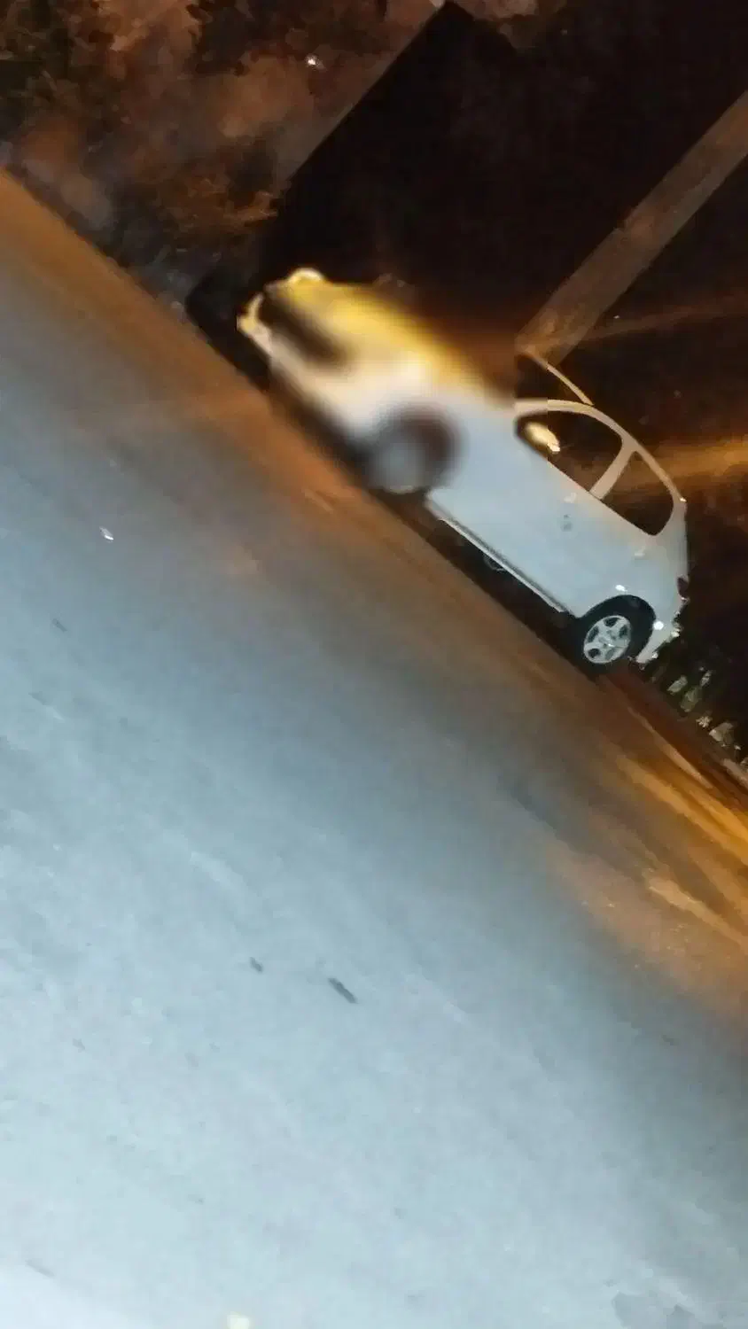 207 پانا|خودرو سواری و وانت|تبریز, |دیوار