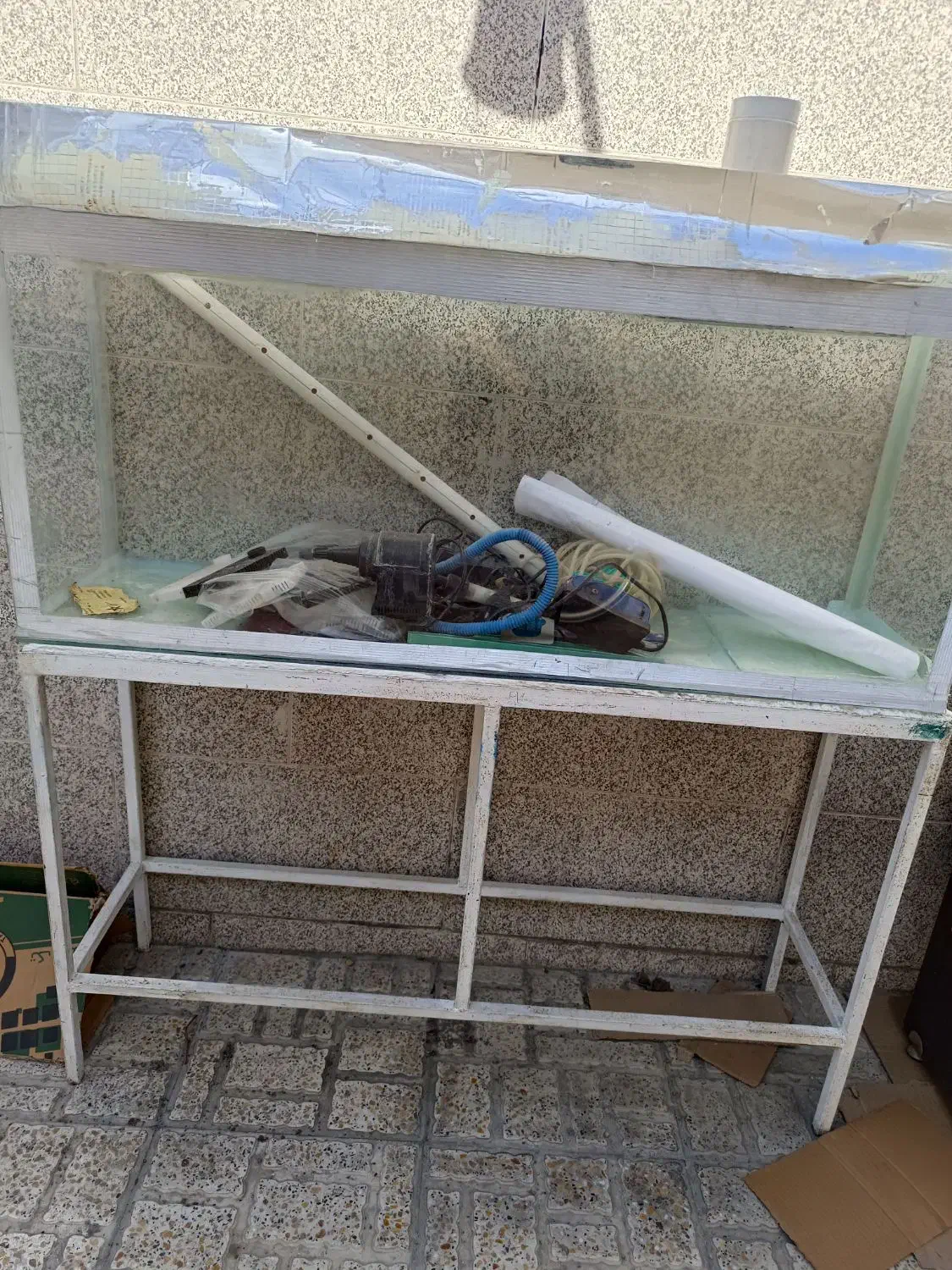 اکواریوم|ماهی|محمدشهر, محمدشهر|دیوار