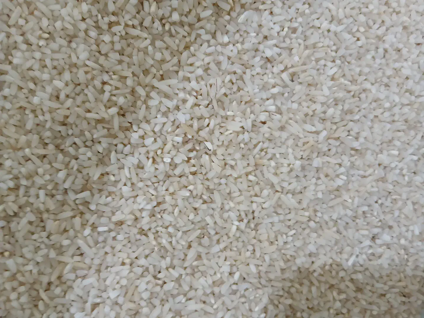 سرلاشه هاشمی معطر|خوردنی و آشامیدنی|رباطکریم, رباطکریم|دیوار