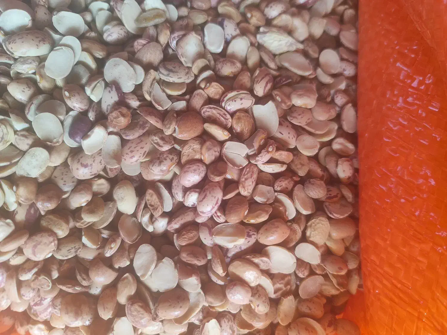 باسلام.کپسول ال پی جی|قطعات یدکی و لوازم جانبی|اهواز, حصیرآباد|دیوار