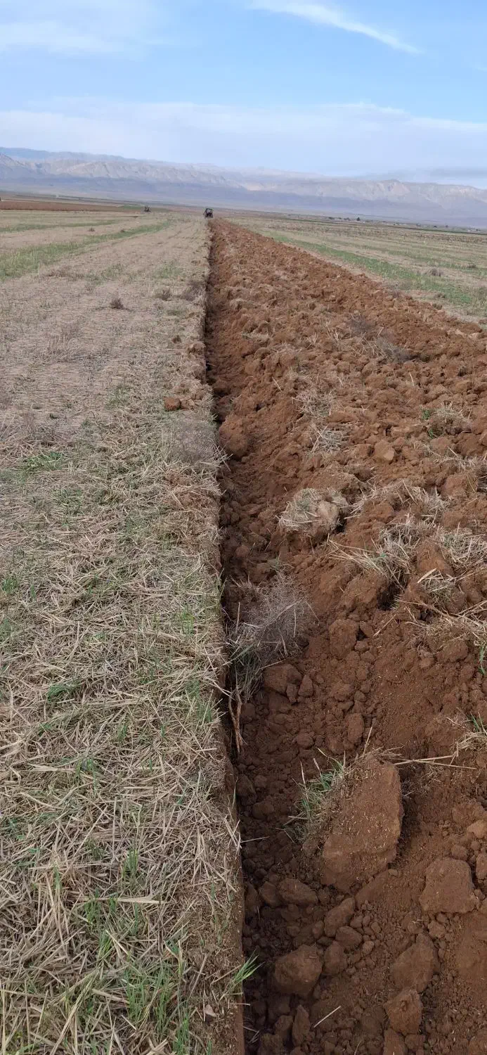 زمین دیم اجاره ای ۵۰۰ هکتار در بهتر اب و هوای قوچا|اجارهٔ دفتر صنعتی، کشاورزی، تجاری|آبکوه, |دیوار