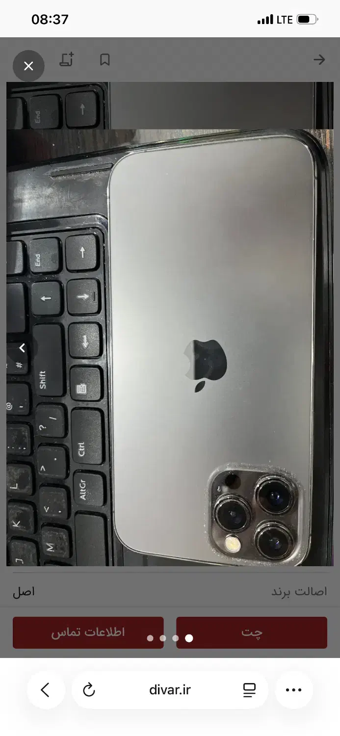 ایفون ۱۲ پرومکس|موبایل|رشت, کاکتوس|دیوار