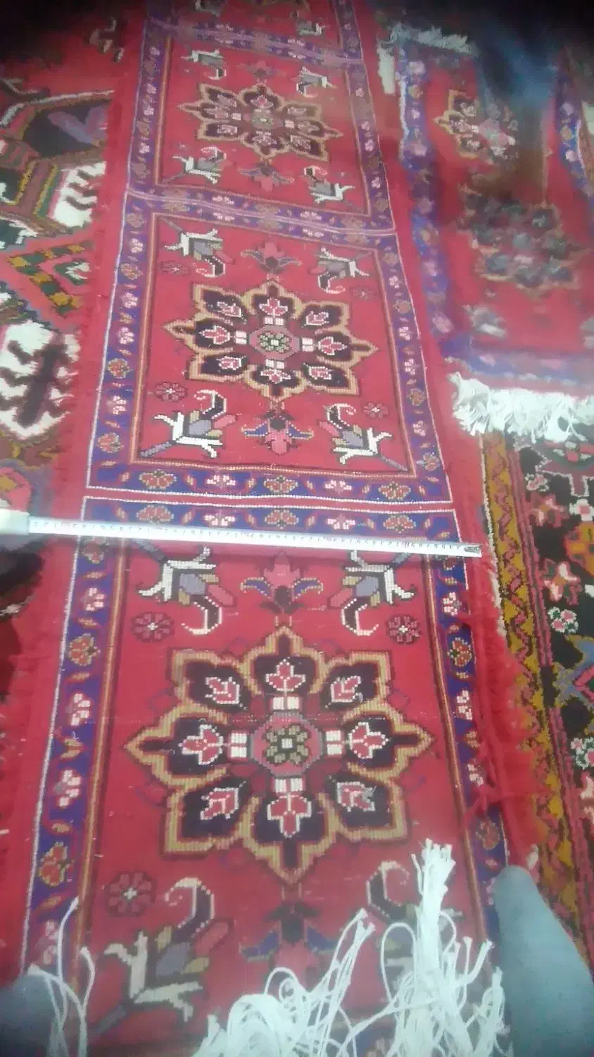 پادری وکناره|فرش|تبریز, |دیوار