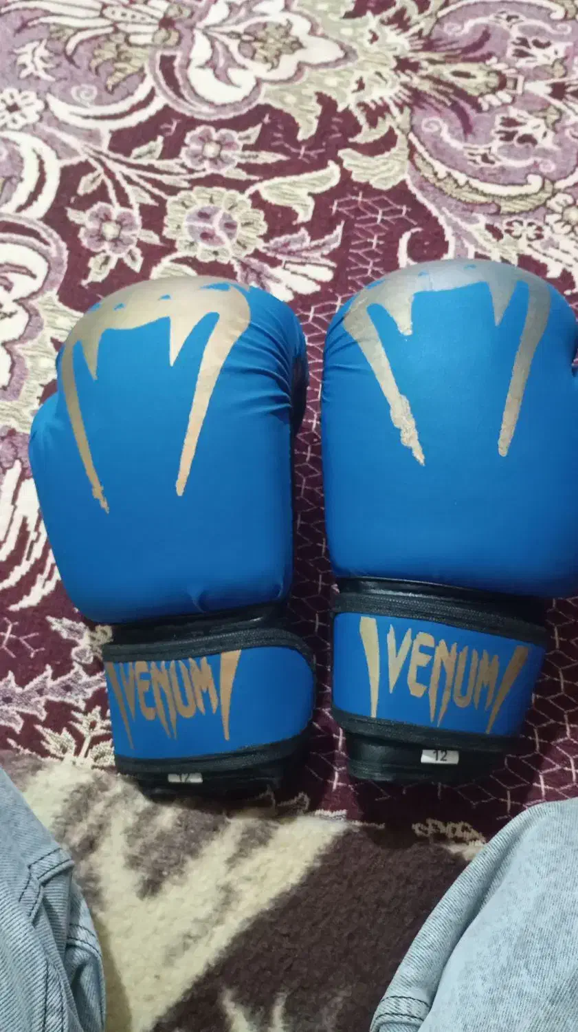 دست کش بکس|تجهیزات ورزشی|بناب, |دیوار