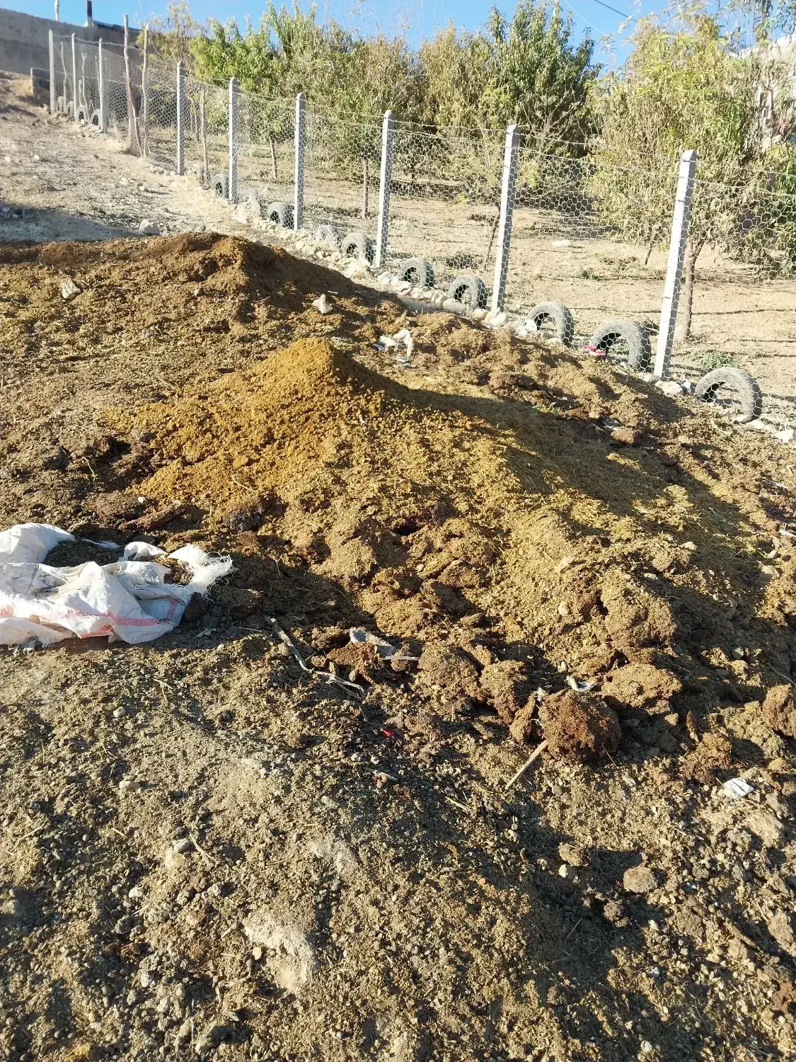 کود سیاه|خدمات باغبانی و درختکاری|کوهدشت, |دیوار