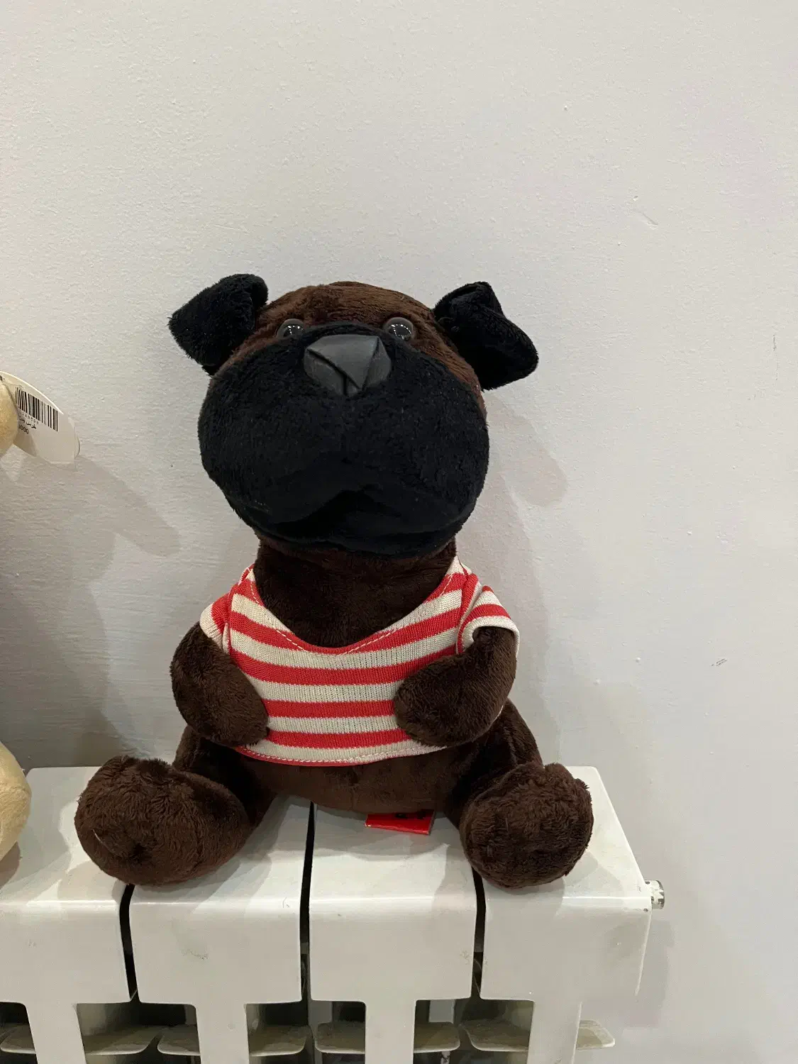 سه عدد اسباب بازی عروسک خارجی نو نو مارکدار|اسباب‌‌بازی|شیراز, فرهنگ شهر|دیوار