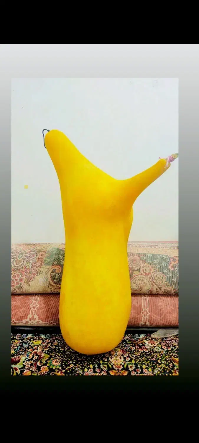 نی انبان|سازهای بادی|بوشهر, |دیوار