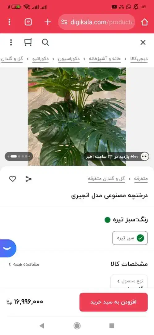درختچه مصنوعی|گل مصنوعی|بندر ماهشهر, |دیوار