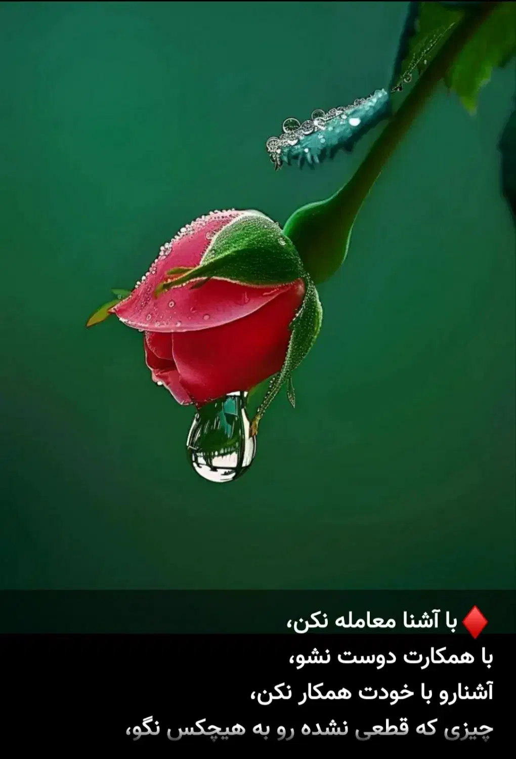 یاری|فعالیت داوطلبانه|بیرجند, |دیوار