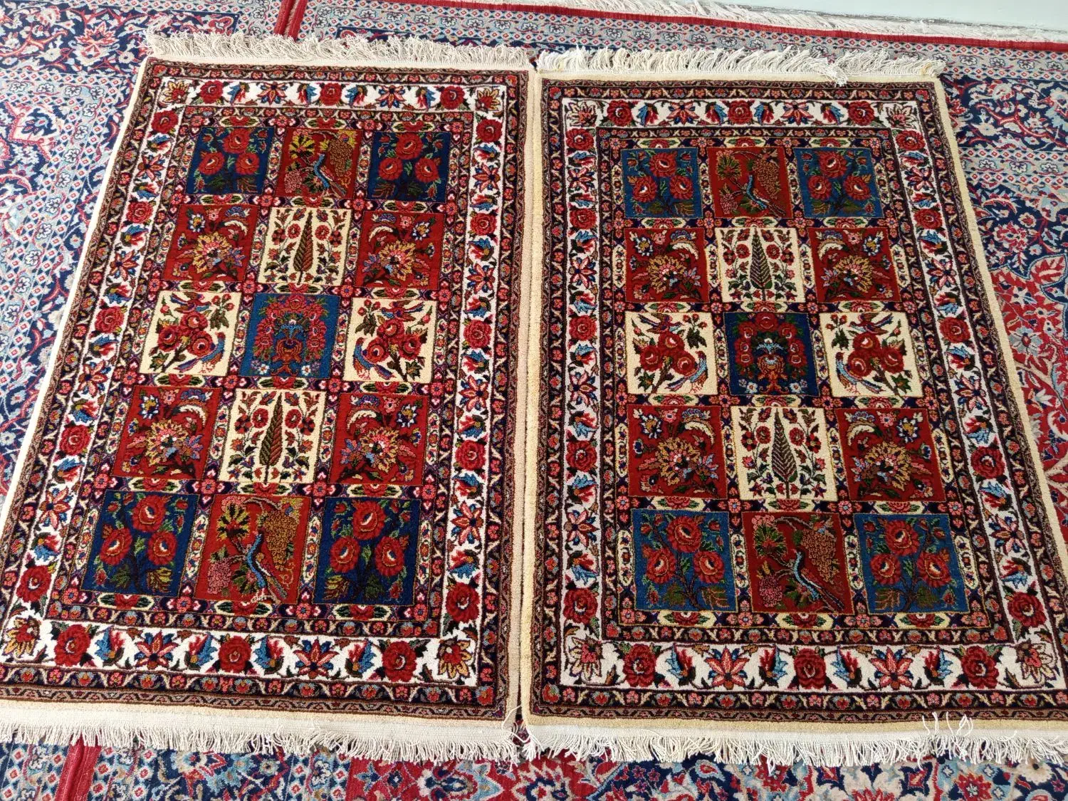 فرش دستبافت خشت چالشتر|فرش|شهرکرد, |دیوار