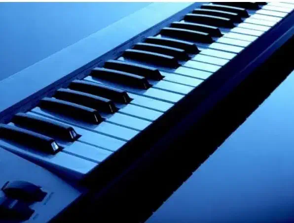 نوازنده حرفهای ارگ مجالس در اردبیل|خدمات پذیرایی، مراسم|اردبیل, |دیوار