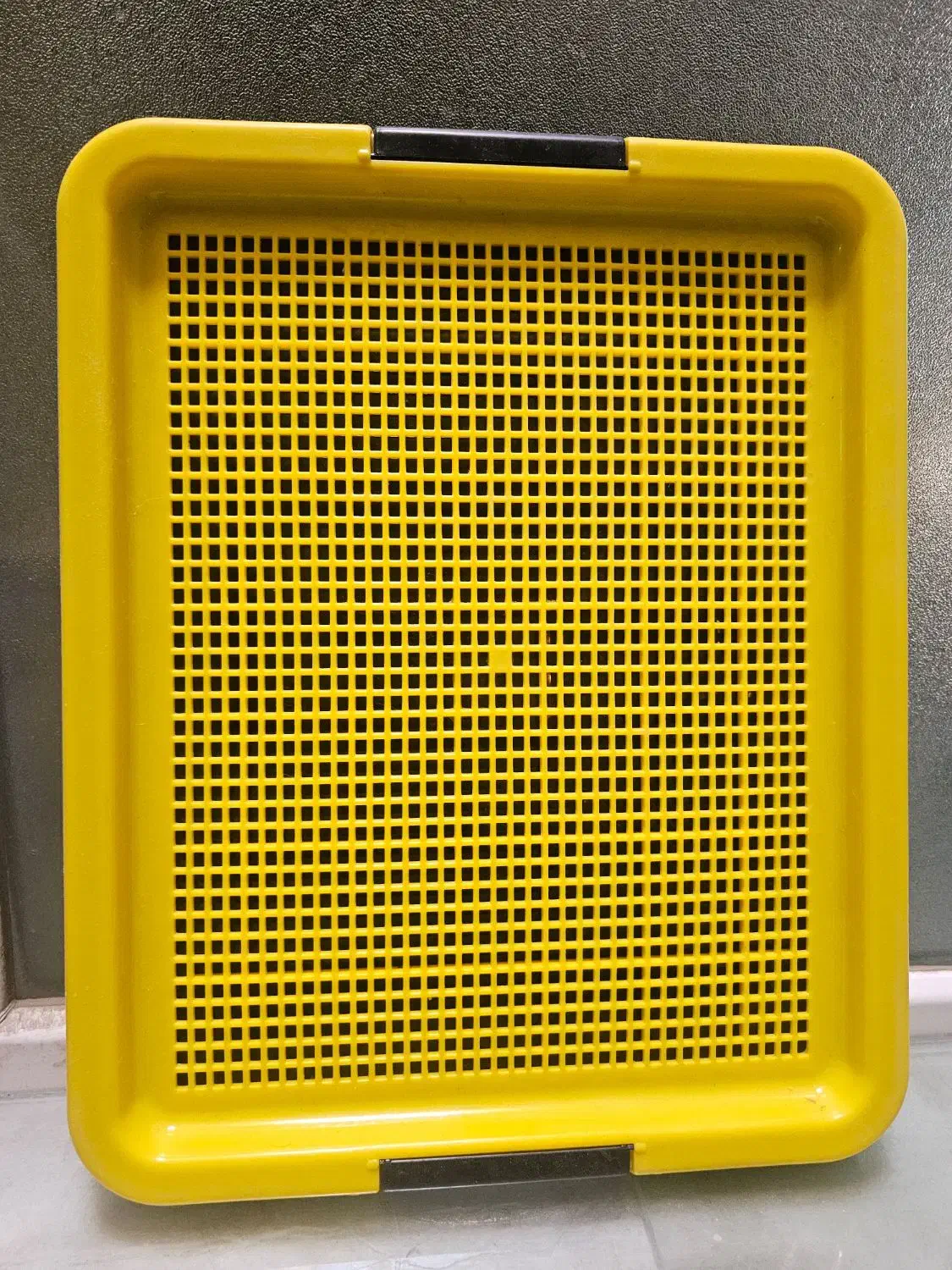 جای خواب سگ. سینی جیش. پارک|لوازم جانبی حیوانات|تهران, جنت‌آباد مرکزی|دیوار