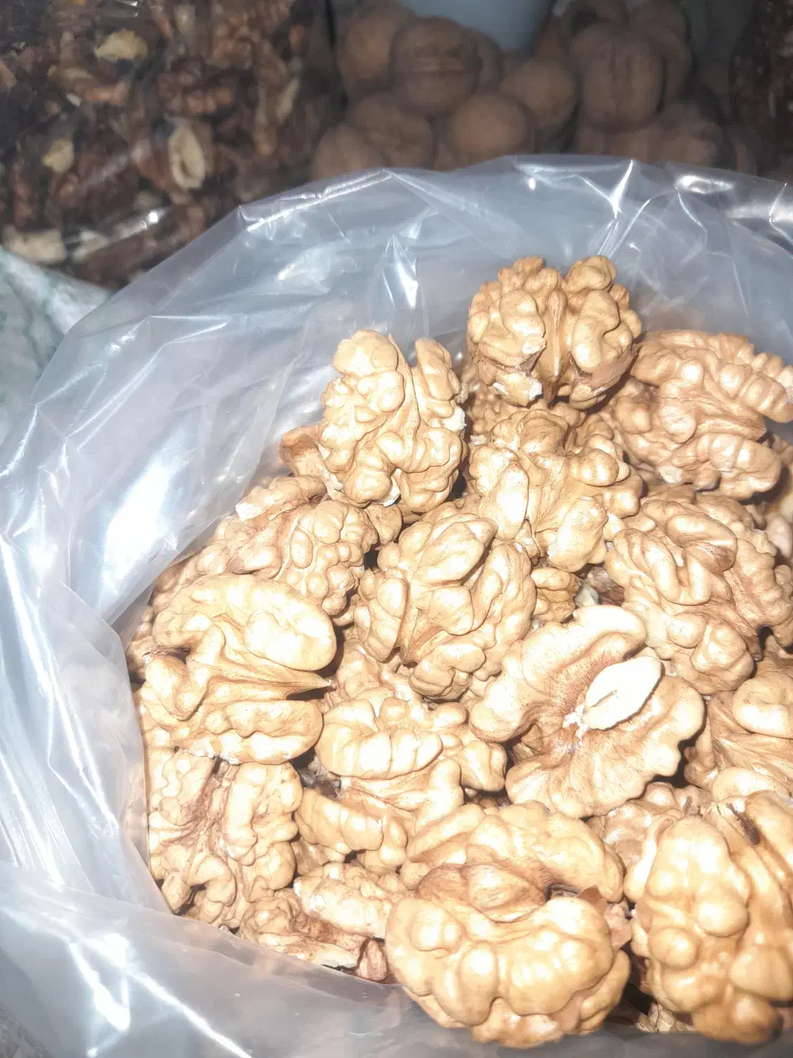 گردو ایرانی ۱۴۰۴ الموت بالای ۵۰۰گرم مغز|خوردنی و آشامیدنی|محمدیه-قزوین, |دیوار