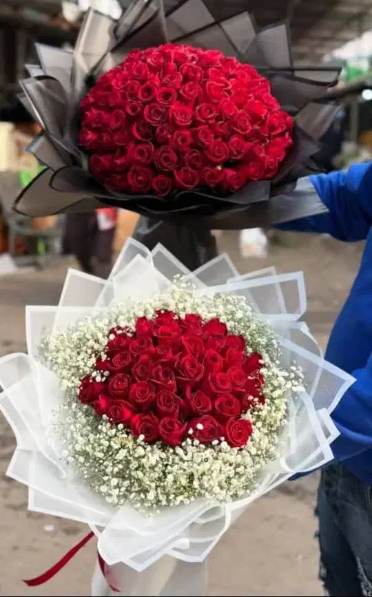 گلستان رُز|گل و گیاه طبیعی|اندیمشک, |دیوار