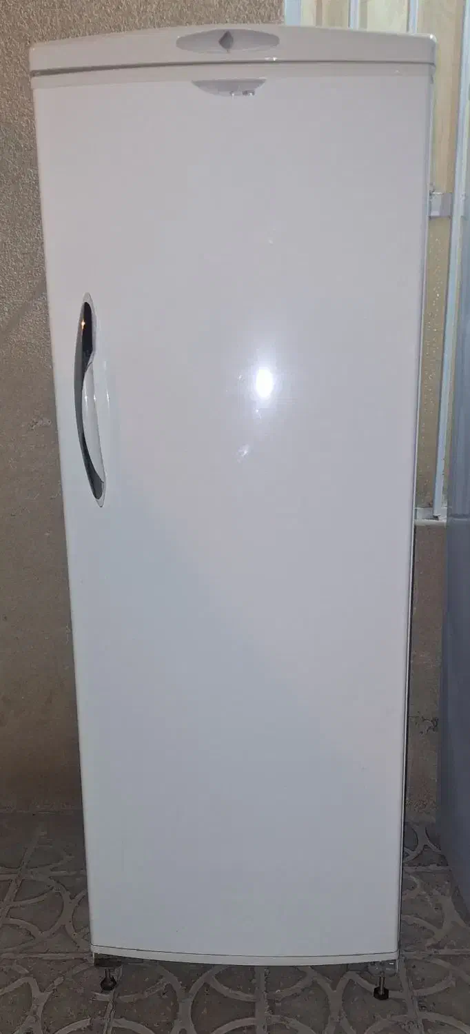 یخچال فریزر|یخچال و فریزر|نی‌ریز, |دیوار