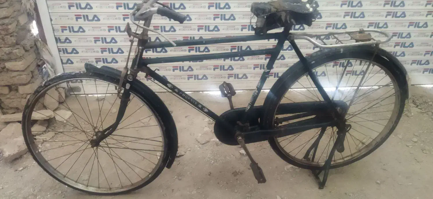 دوچرخه چینی|دوچرخه، اسکیت، اسکوتر|گنبد کاووس, |دیوار