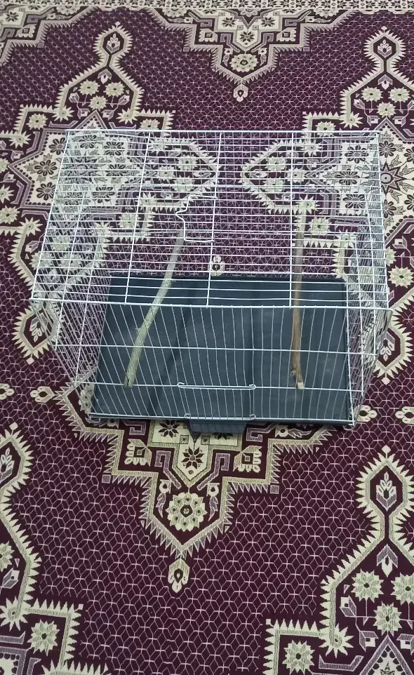 قفس ۵۰ در ۳۰ و آغل و لانه پرنده و سرلاک|لوازم جانبی حیوانات|مشهد, نیزه|دیوار