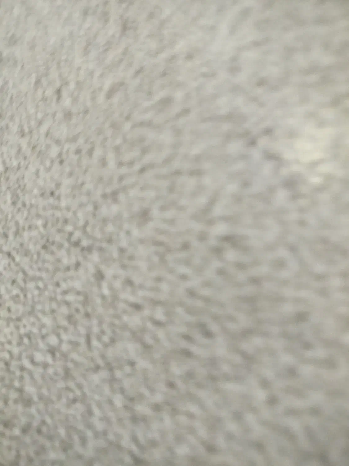 مدارک گمشده|اشیا|الیگودرز, |دیوار