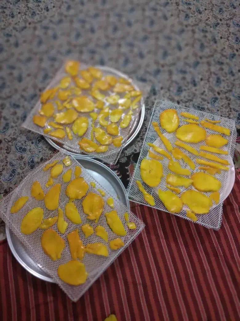 میوه خشک کن گازی برقی|ماشینآلات صنعتی|اصفهان, برزان|دیوار