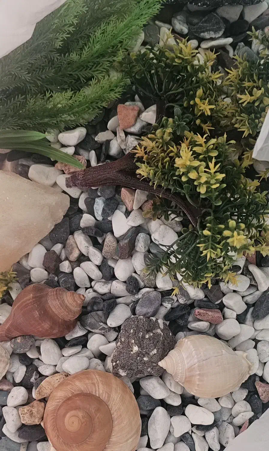 آکواریم کاملا سالم و تمیز|ماهی|تهران, گلستان (شهرک راه آهن)|دیوار