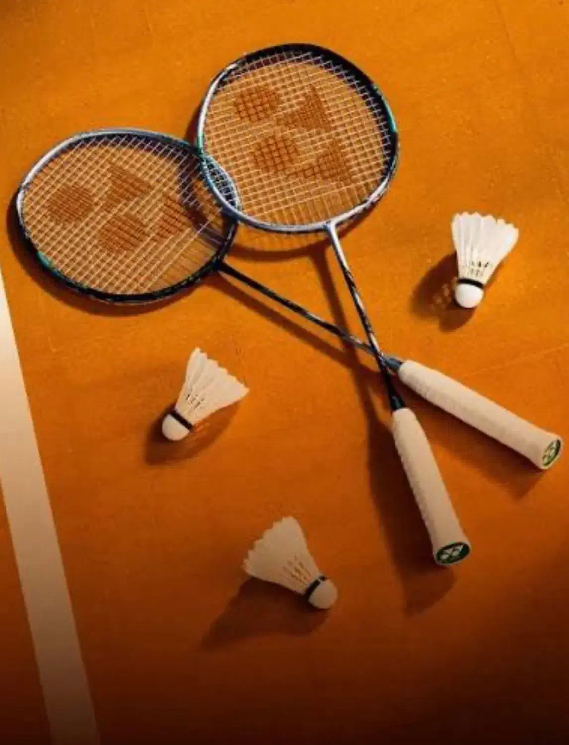 آموزش بدمینتون ویژه بانوان|ورزش‌های توپی|مشهد, دانشجو|دیوار