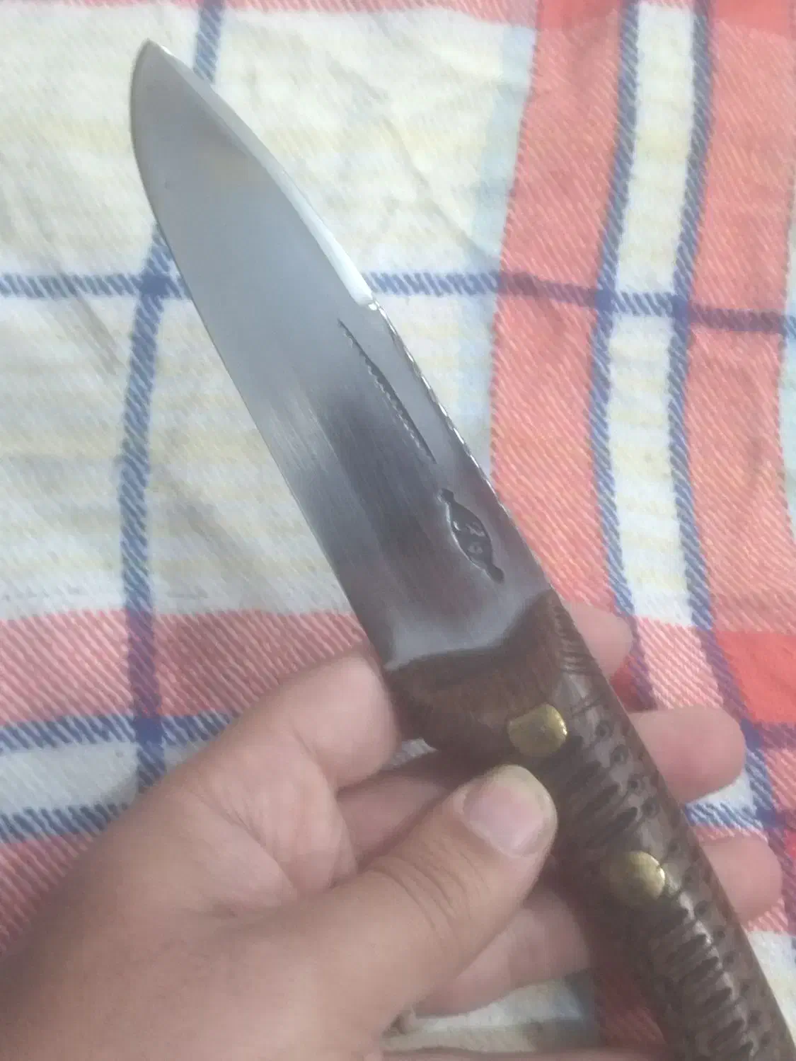 چاقو 25سانتی وفا|ظروف پختوپز|قم, دروازه ری|دیوار