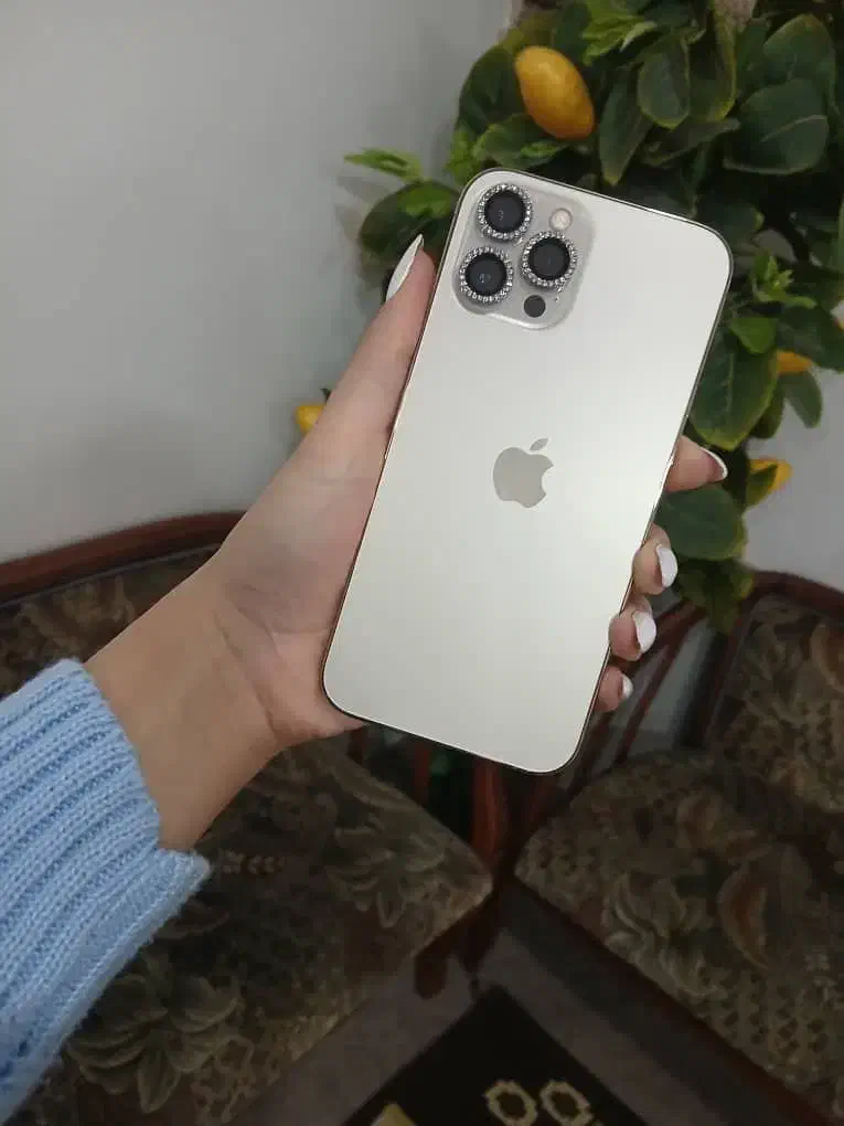 گوشی ایفون ۱۲پرومکس|موبایل|بروجرد, |دیوار