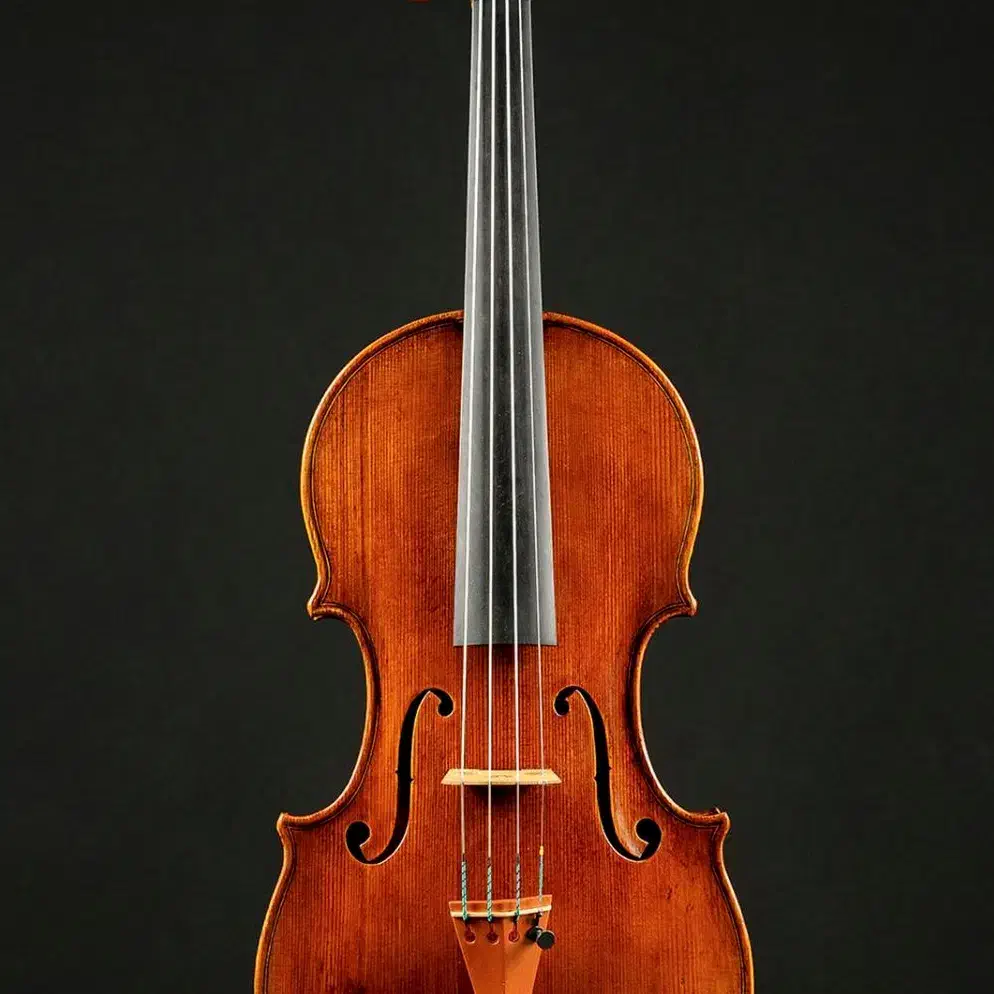 تدریس ویولن کلاسیک|خدمات آموزشی|اصفهان, قائمیه|دیوار