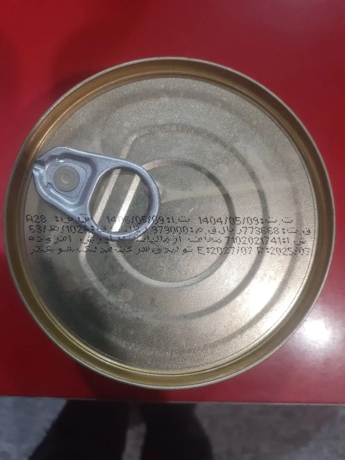 تن ماهی مکنزی|خوردنی و آشامیدنی|بستان آباد, |دیوار