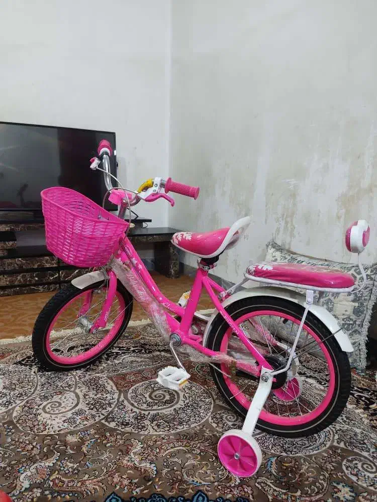 یک عدد دوچرخه در حد نو|دوچرخه، اسکیت، اسکوتر|میناب, |دیوار