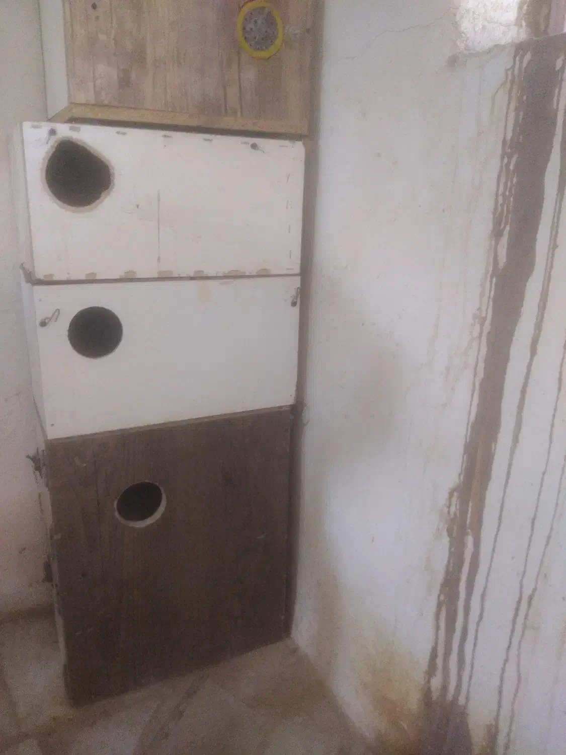 لانه عروس هلندی|لوازم جانبی حیوانات|بردسکن, |دیوار