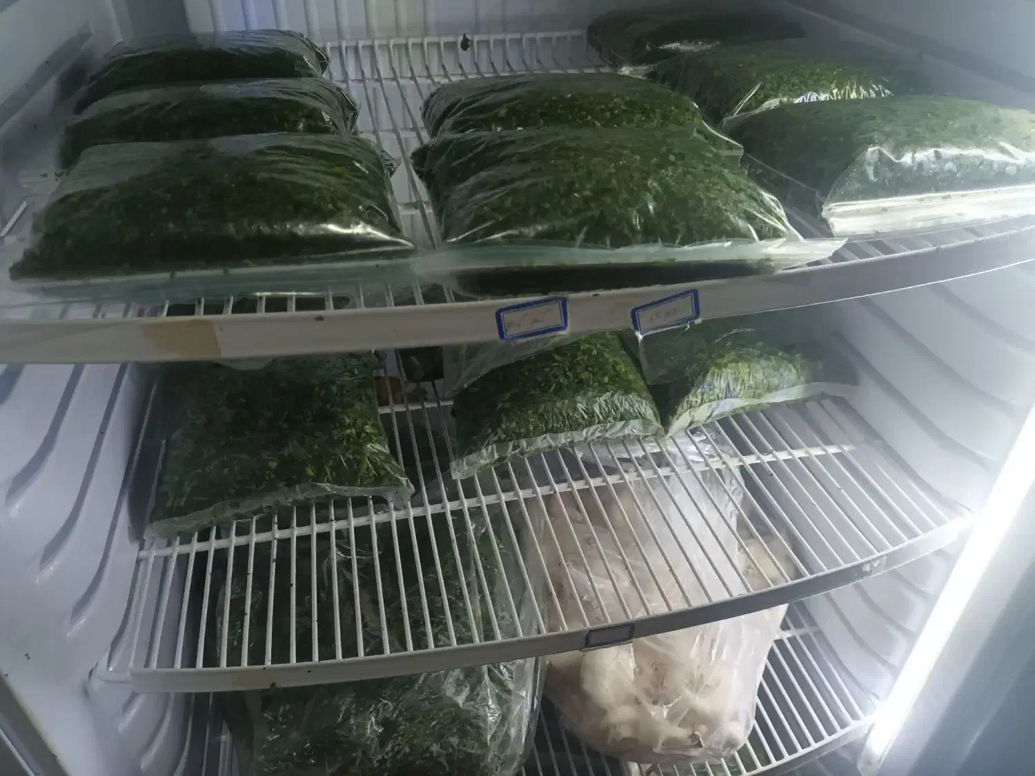 انواع سبزی|خوردنی و آشامیدنی|نسیمشهر, |دیوار