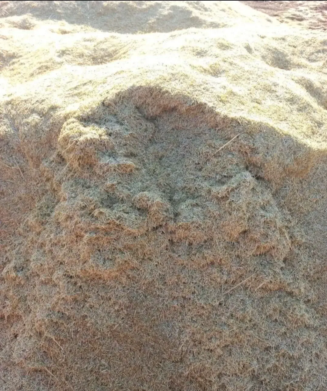 کاه گندم|لوازم جانبی حیوانات|سمیرم, |دیوار