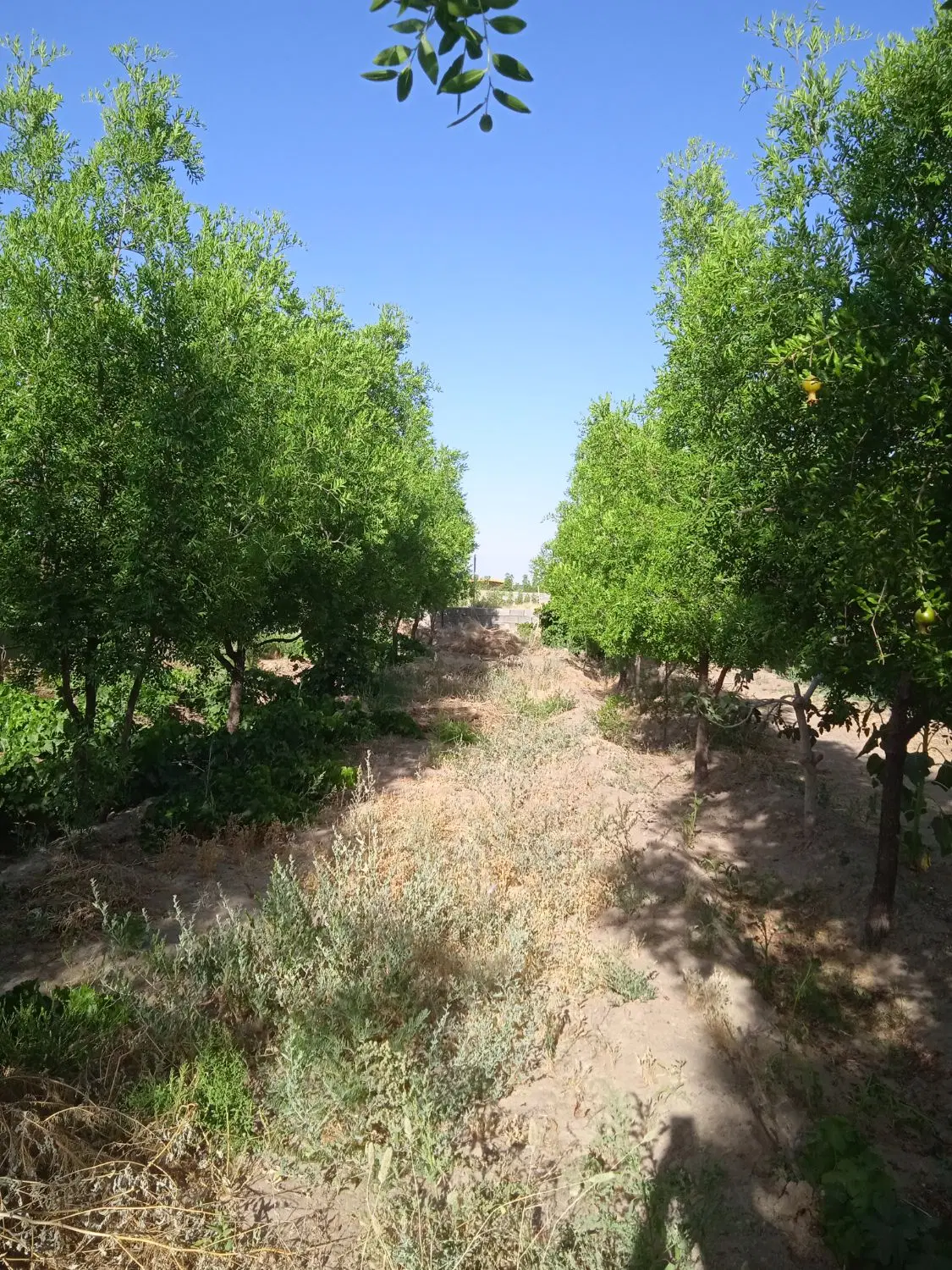 تصویر 3