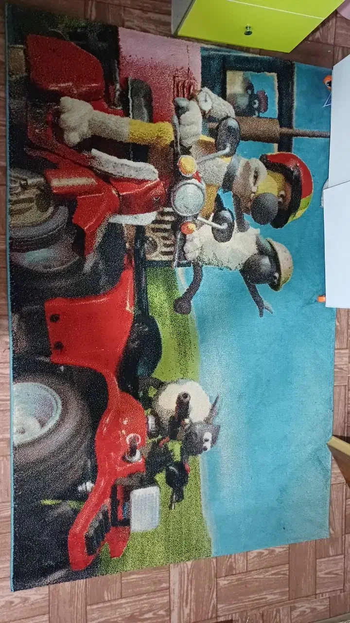 فرش پامچال کودکانه|فرش|زاهدان, |دیوار