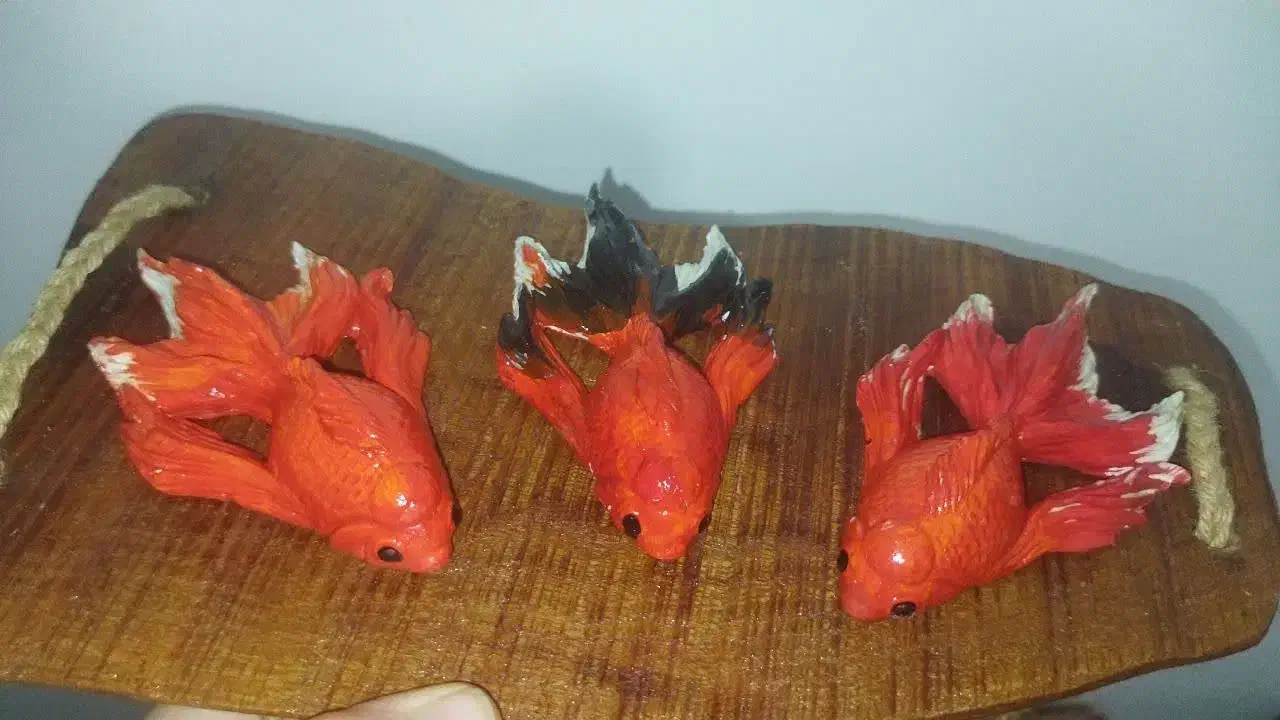 ماهی تزیینی|مجسمه، تندیس، ماکت|تنکابن, |دیوار