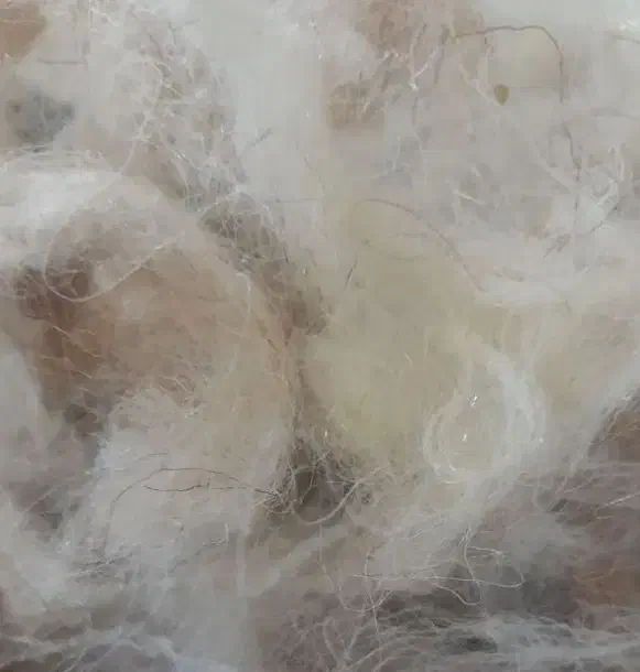 پشم گوسفند|رختخواب، بالش، پتو|پارس‌آباد, |دیوار