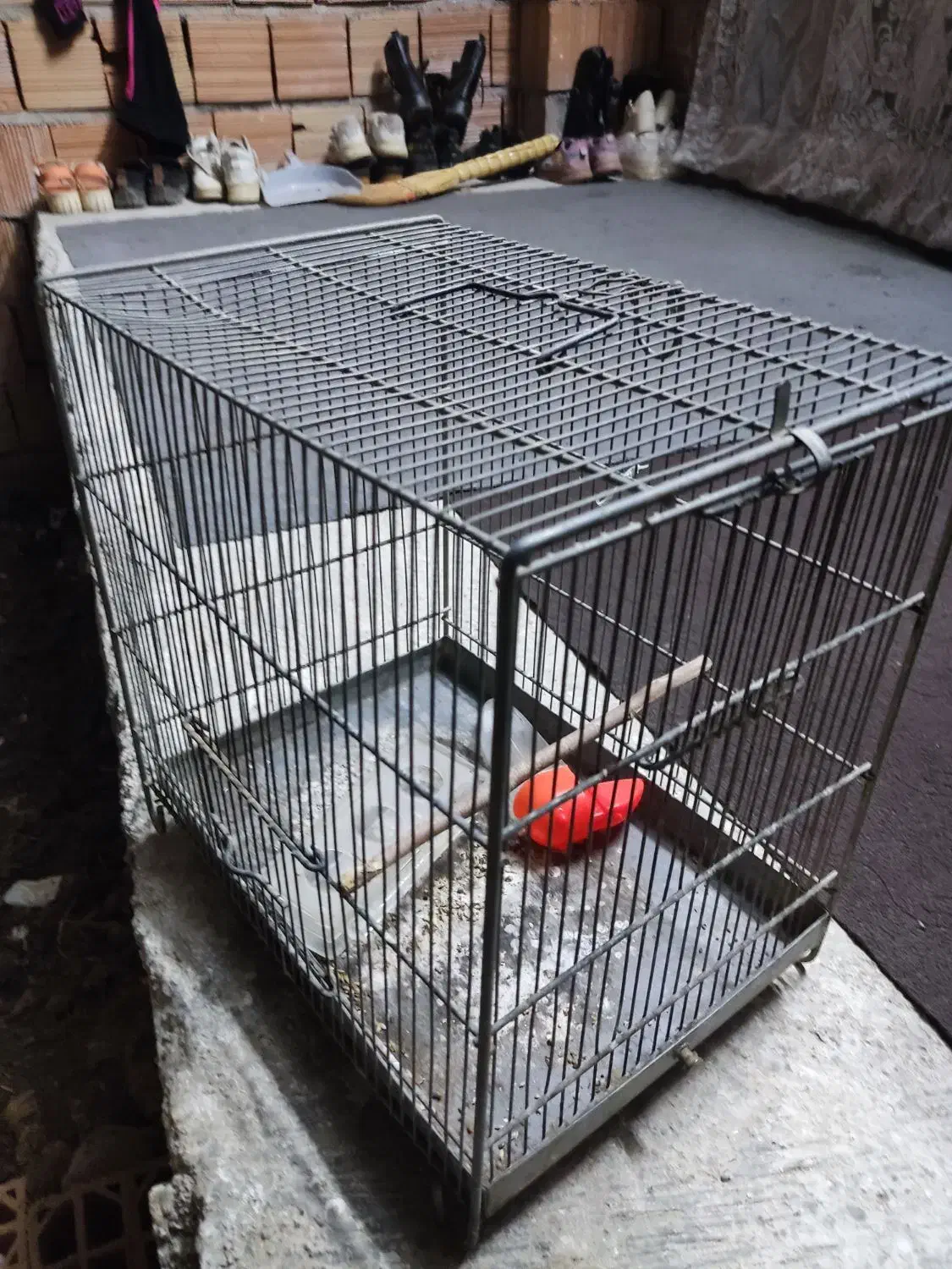 قفس سهره|لوازم جانبی حیوانات|مزرعه کتول, |دیوار