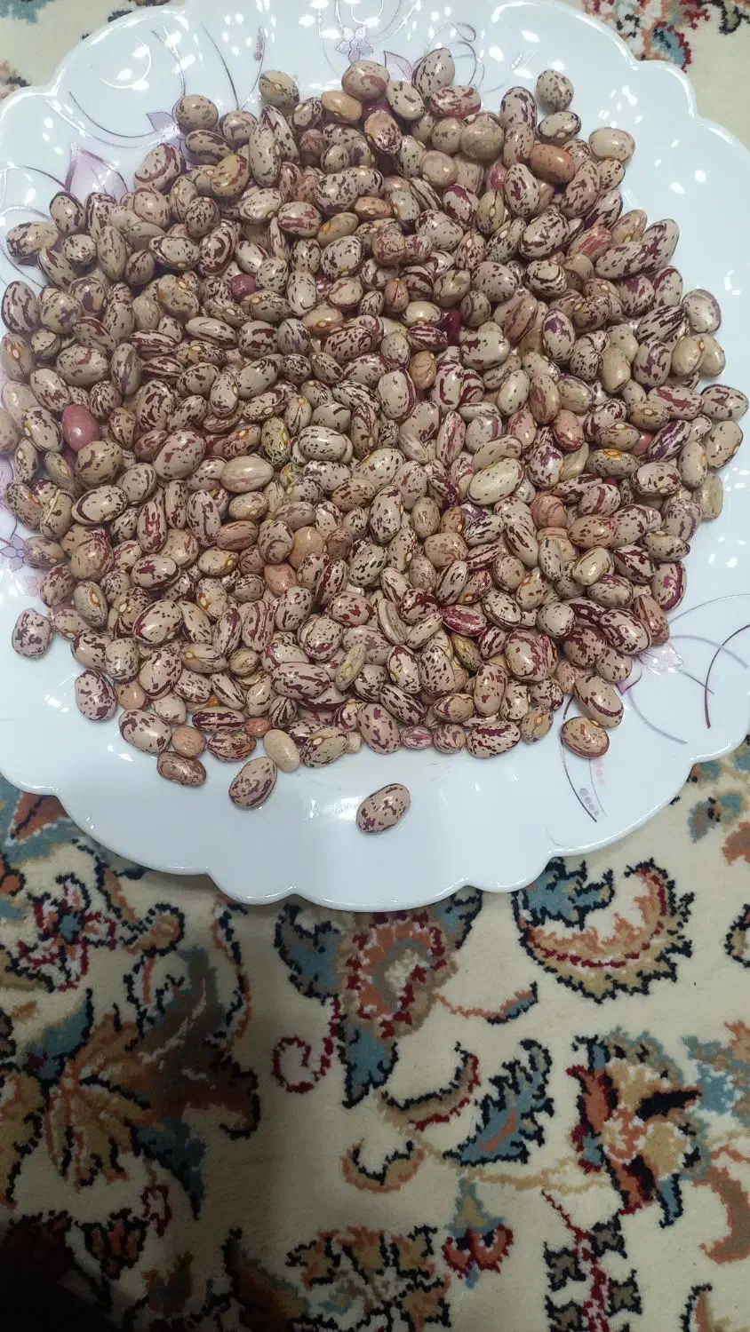 لوبیا چیتی محلی۴۵۰هزارتومان|خوردنی و آشامیدنی|رشت, کوی غلام نیا|دیوار