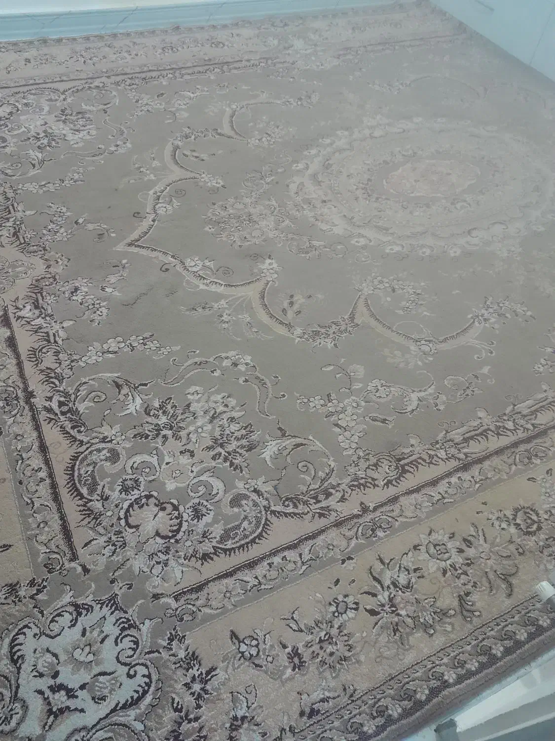 فرش ۳در۳|فرش|مشهد, پنجتن|دیوار