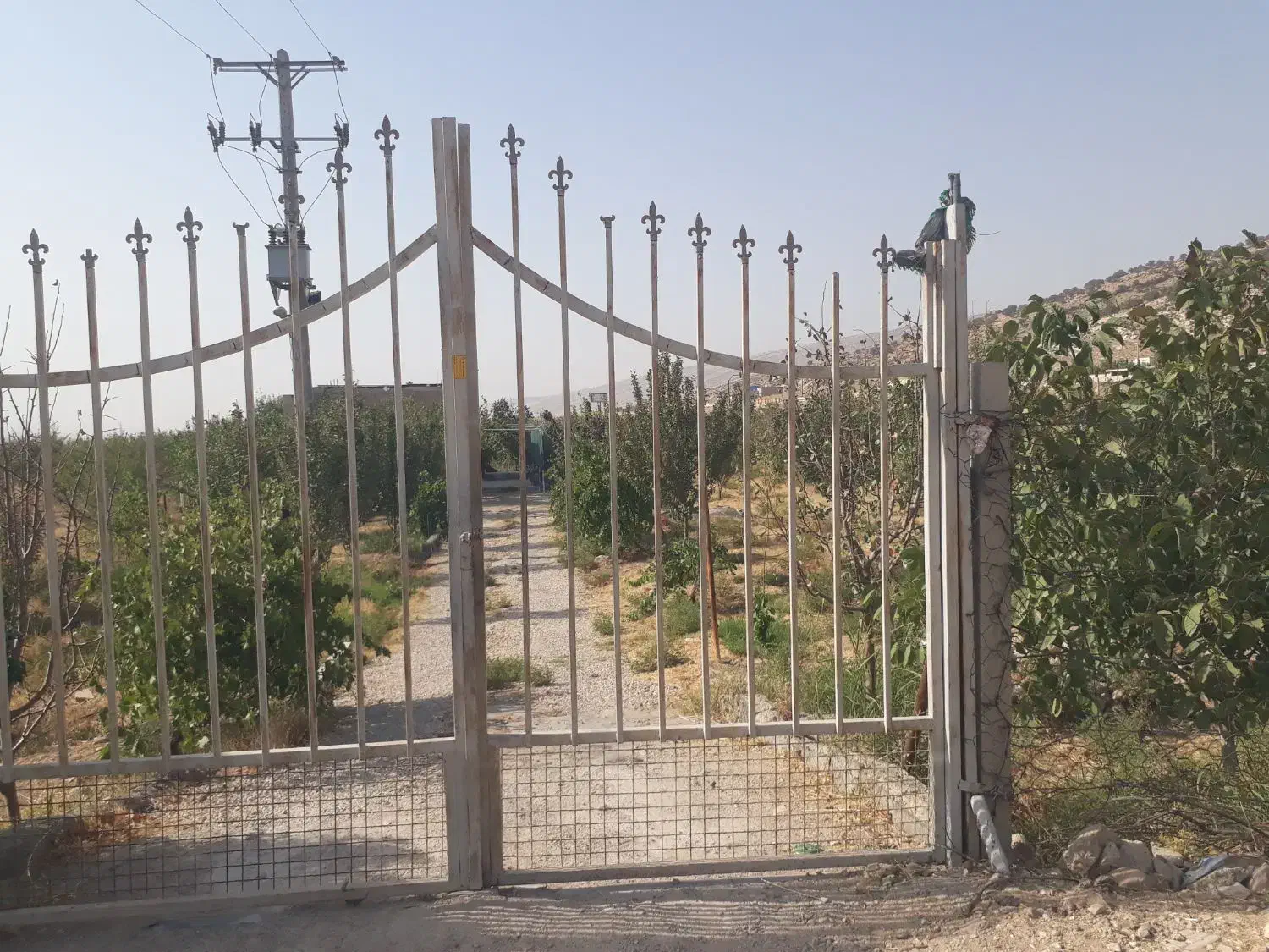 اجاره خانه باغ ایوانغرب دوراهی امام زاده سیدعبداله|اجارهٔ کوتاهمدت ویلا و باغ|ایلام, |دیوار