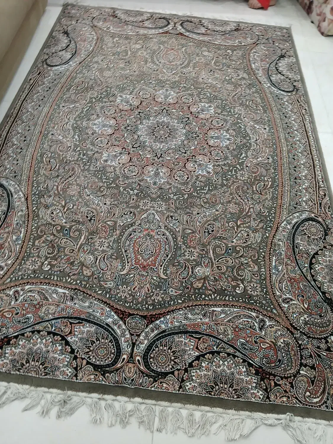 فروش قالی ماشینی|فرش|رشت, کاکتوس|دیوار