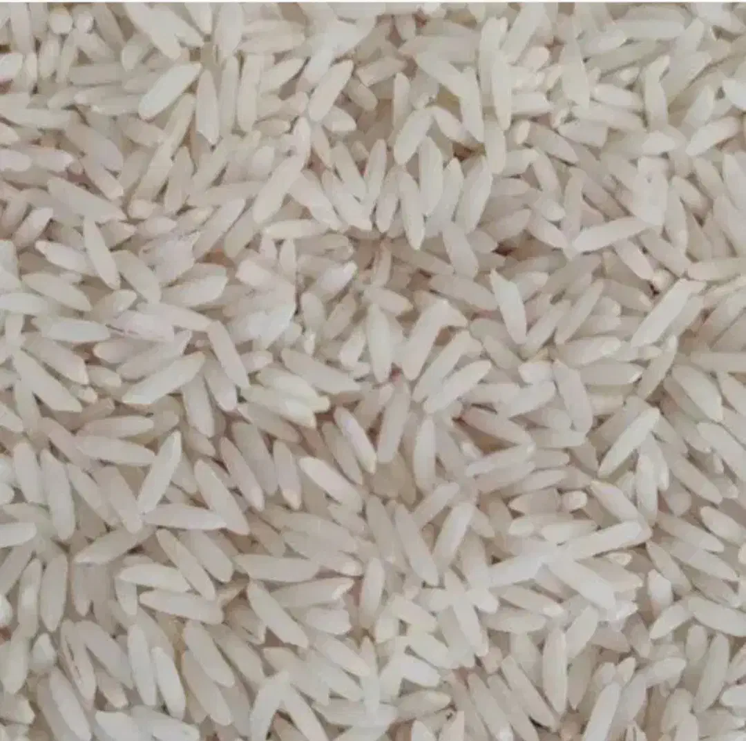 شریک و سرمایه گذار|خدمات مالی، حسابداری، بیمه|قم, نیروگاه|دیوار