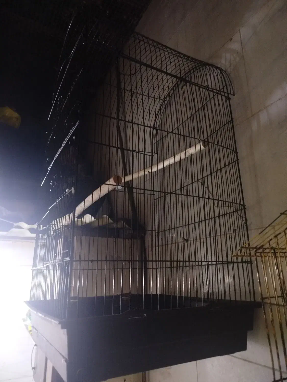 قفس بزرگ|لوازم جانبی حیوانات|اهواز, کوی رمضان|دیوار